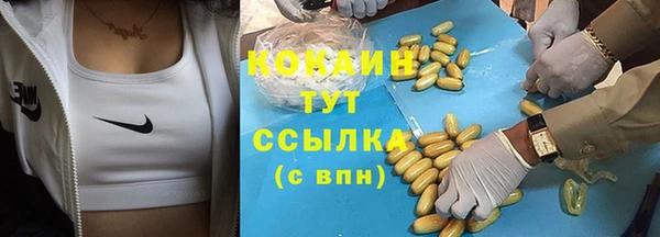 дживик Шали