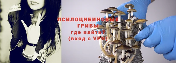 СК Шадринск