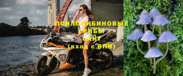 дживик Шали