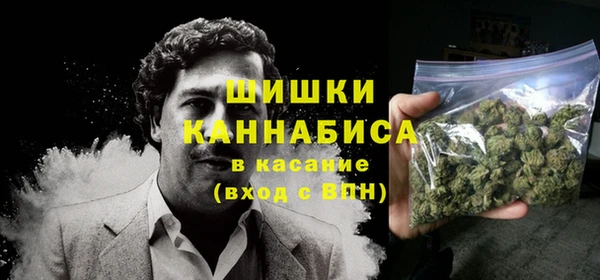 дживик Шали